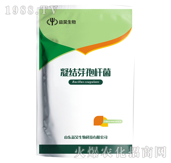 ���Y(ji��)ѿ�ߗU��-�������