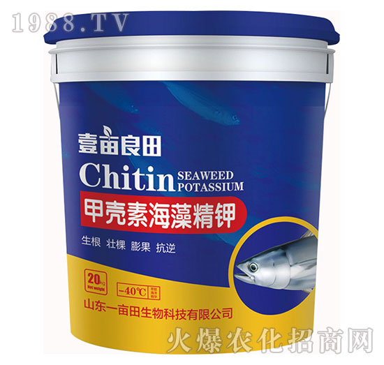 �ך��غ��徫�-Ҽ������