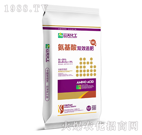 �����͵���-�������pЧ׷��-���컯��