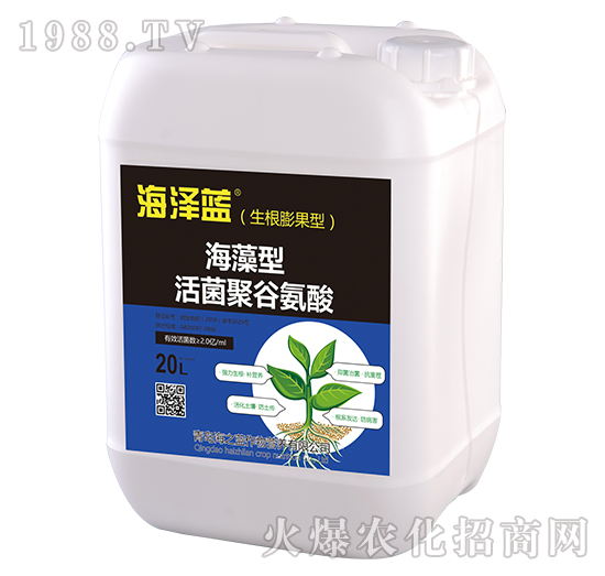 海藻型活菌聚谷氨酸（生根膨果）-海澤藍