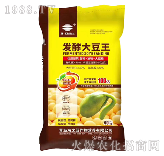 發(fā)酵大豆王-海之藍