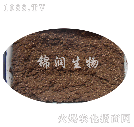 ����ù�P����-�\������