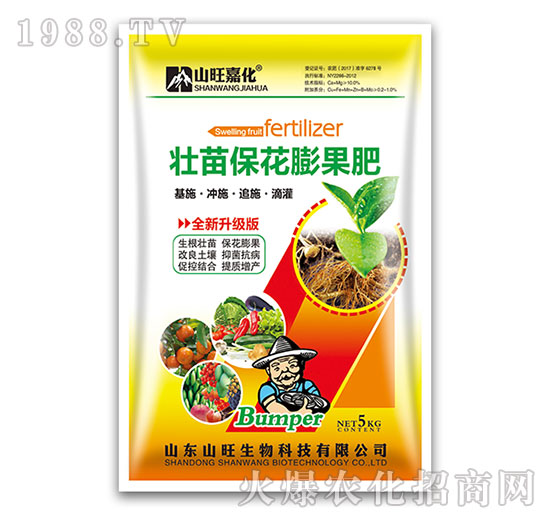 壯苗?；ㄅ蚬?山旺生物