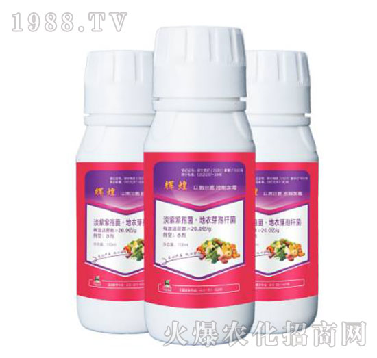 淡紫紫孢菌·地衣芽孢桿菌-輝煌-柯易植保