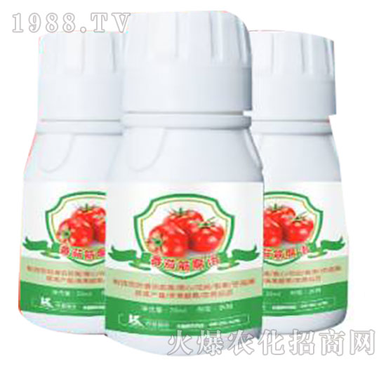 番茄筋腐治-柯易植保