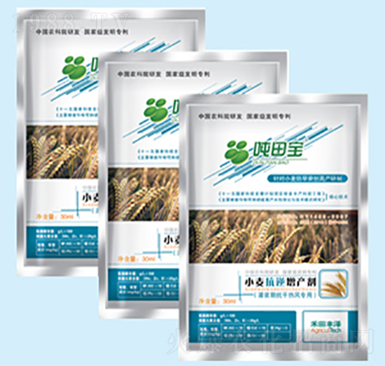 С�����{�ڌ�(zhu��n)����-���-�����S��