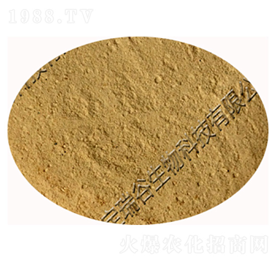 ��(f��)��ѿ�ߗU��-�������