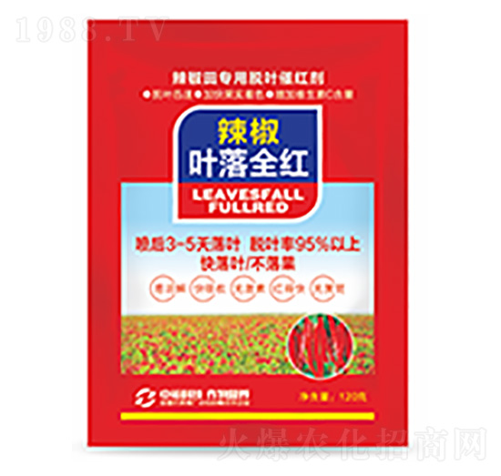 辣椒葉落全紅-中裕科技