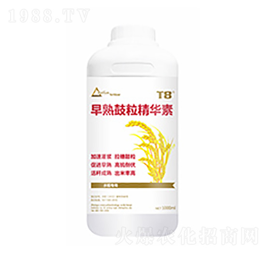 早熟鼓粒精華素-中?？萍? style=