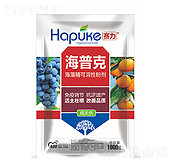 賽力海普克-中?？萍? style=