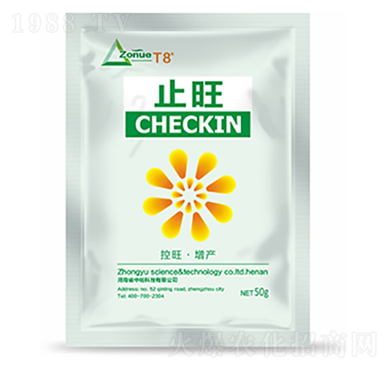 止旺-中?？萍? style=