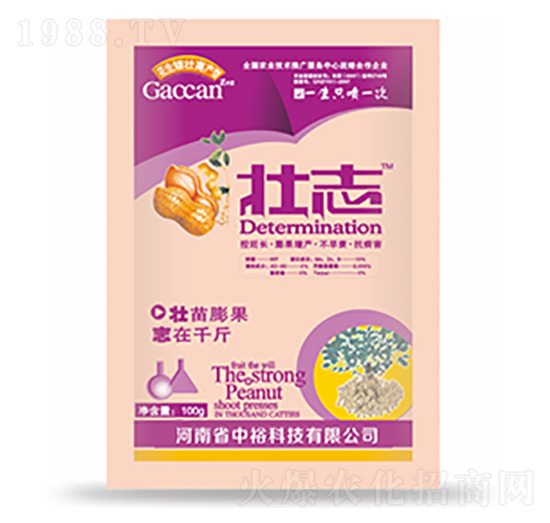 壯志-中?？萍? style=