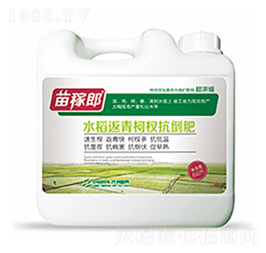 水稻返青柯杈抗倒肥-中?？萍? style=