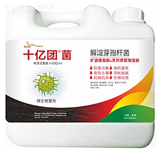 解淀芽孢桿菌-十億團菌-中?？萍? style=