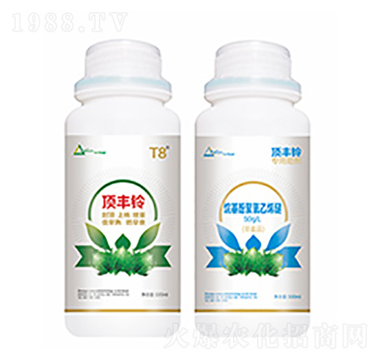 頂豐鈴-中?？萍? style=