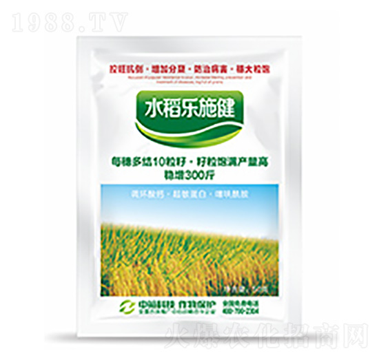 水稻樂施健-中?？萍? style=