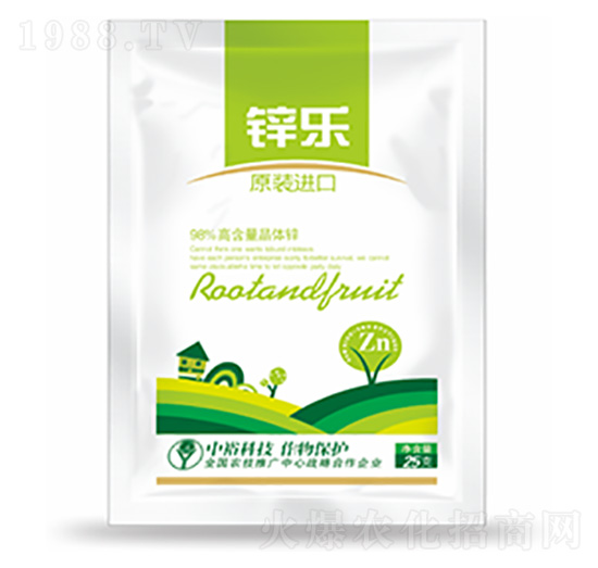 鋅樂-中?？萍? style=