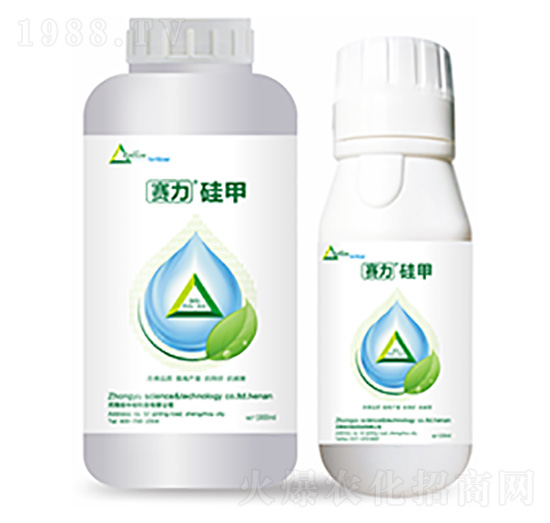 賽力硅甲-中?？萍? style=