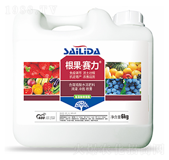 根果賽力-中?？萍? style=