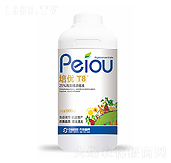 培優(yōu)T8-中?？萍? style=