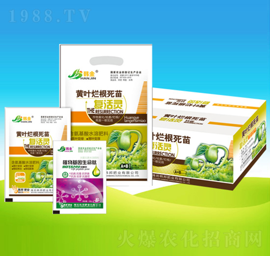 黃葉爛根死苗復(fù)活靈-韓邦肥業(yè)