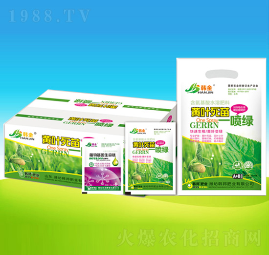 黃葉死苗一噴綠-韓邦肥業(yè)