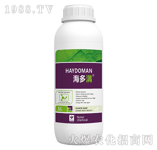 �}�V�̼���-�����M