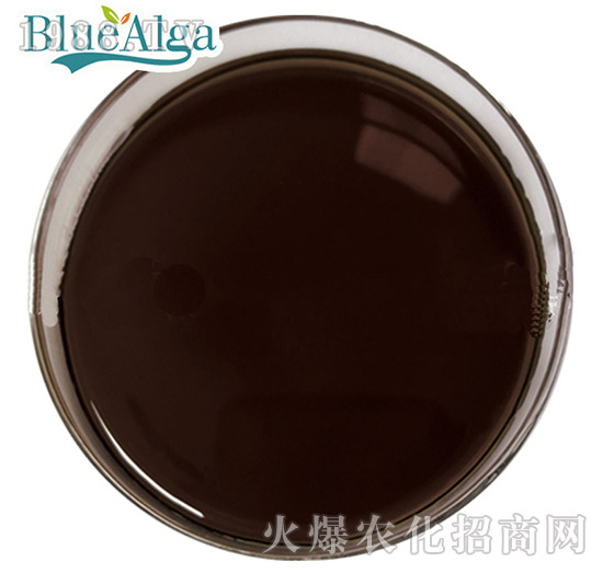 魚蛋白肽（液體）-藍(lán)寶海洋