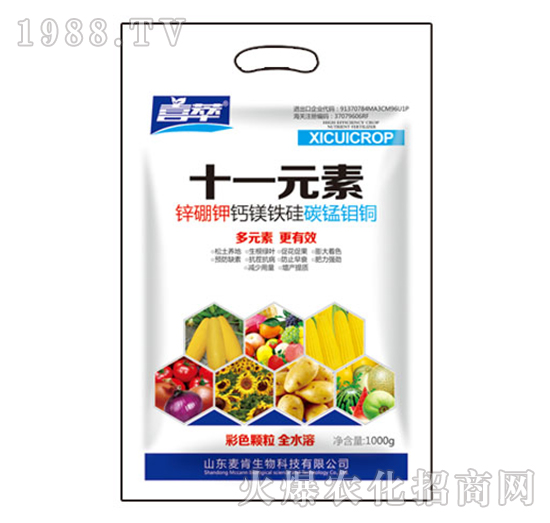 ʮһԪ��-��������