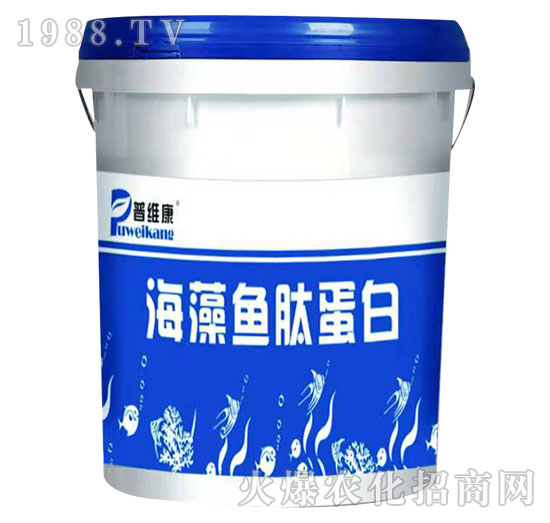 �����~�ĵ���-�վS��-�_�_(d��)