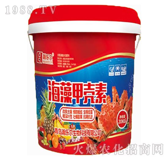 ����ך���-嫘���