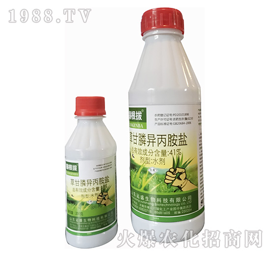 41%草甘膦異丙胺鹽-鐮根拔-運盛生物