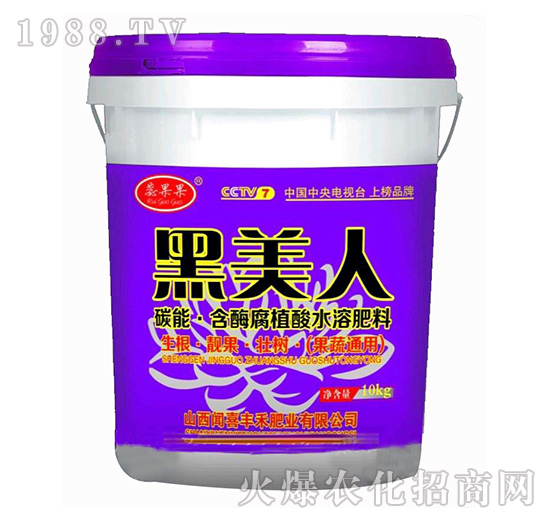 碳能·含酶腐植酸水溶肥料-黑美人-豐禾