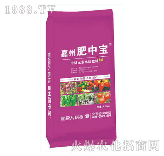 嘉州肥中寶-稻草人