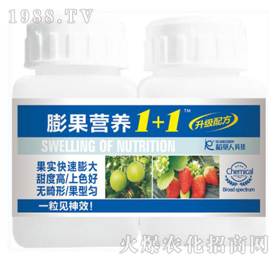 ����I(y��ng)�B(y��ng)1+1-������