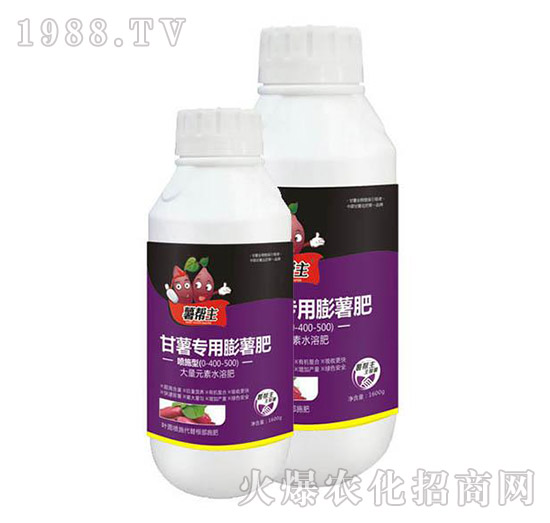 ���팣��������-�����-���A����