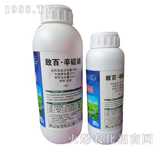 50%���١�������-�W�ρ�