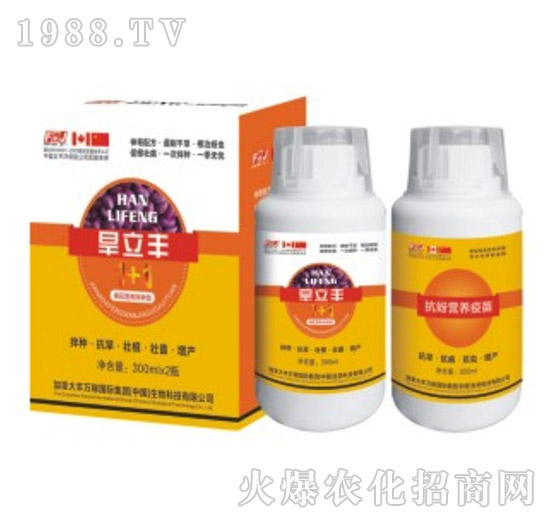 �����S�޻���N��-�S�f(w��n)��