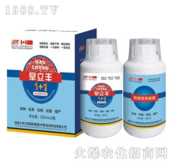 �����S������N��-�S�f(w��n)��