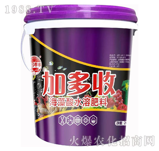 加多收-田園季豐-大豐肥業(yè)