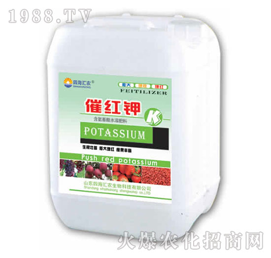 催紅鉀-田園季豐-大豐肥業(yè)