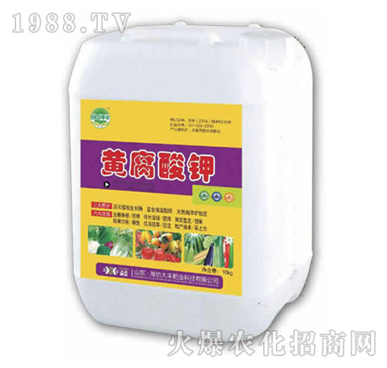 10kg黃腐酸鉀-田園季豐-大豐肥業(yè)