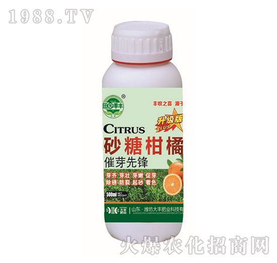 砂糖柑橘催芽先鋒-田園季豐-大豐肥業(yè)