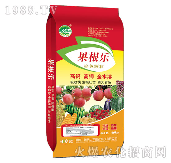 果根樂-田園季豐-大豐肥業(yè)