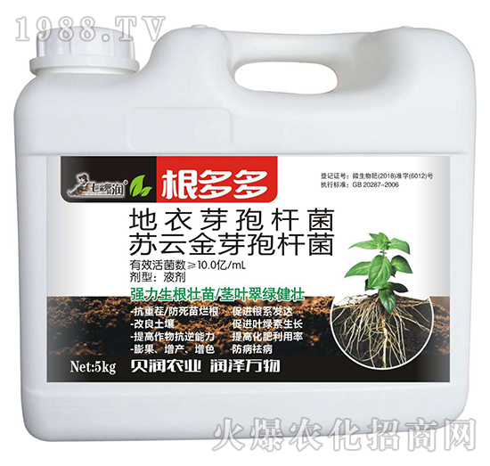 根多多-七彩貝潤-阿姆達