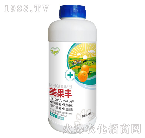 �����S-����t