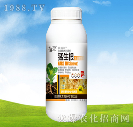 猛生根-植翠-豐農(nóng)農(nóng)化