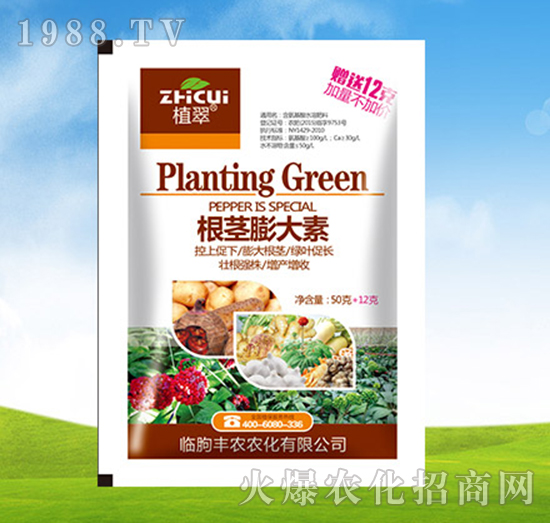 根莖膨大素-植翠-豐農(nóng)農(nóng)化