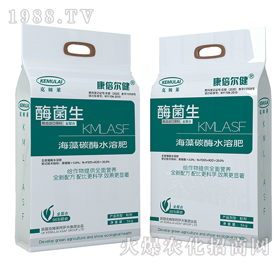 ����̼øˮ�ܷ�-ø����-��������-��ķ�R