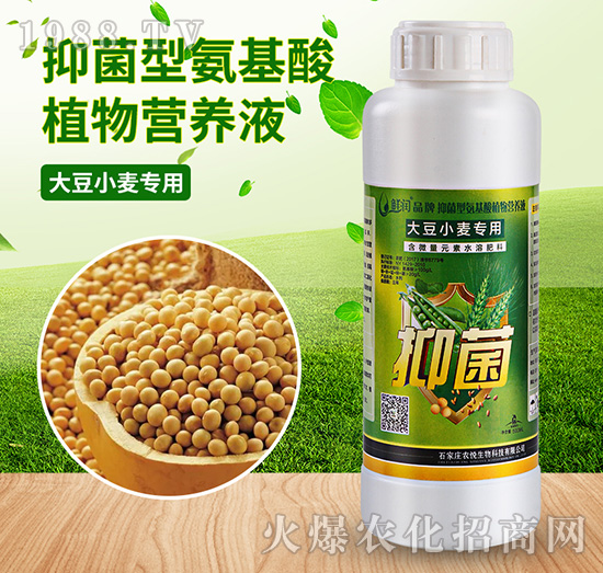 大豆小麥專用-抑菌型氨基酸植物營養(yǎng)液-農(nóng)悅生物